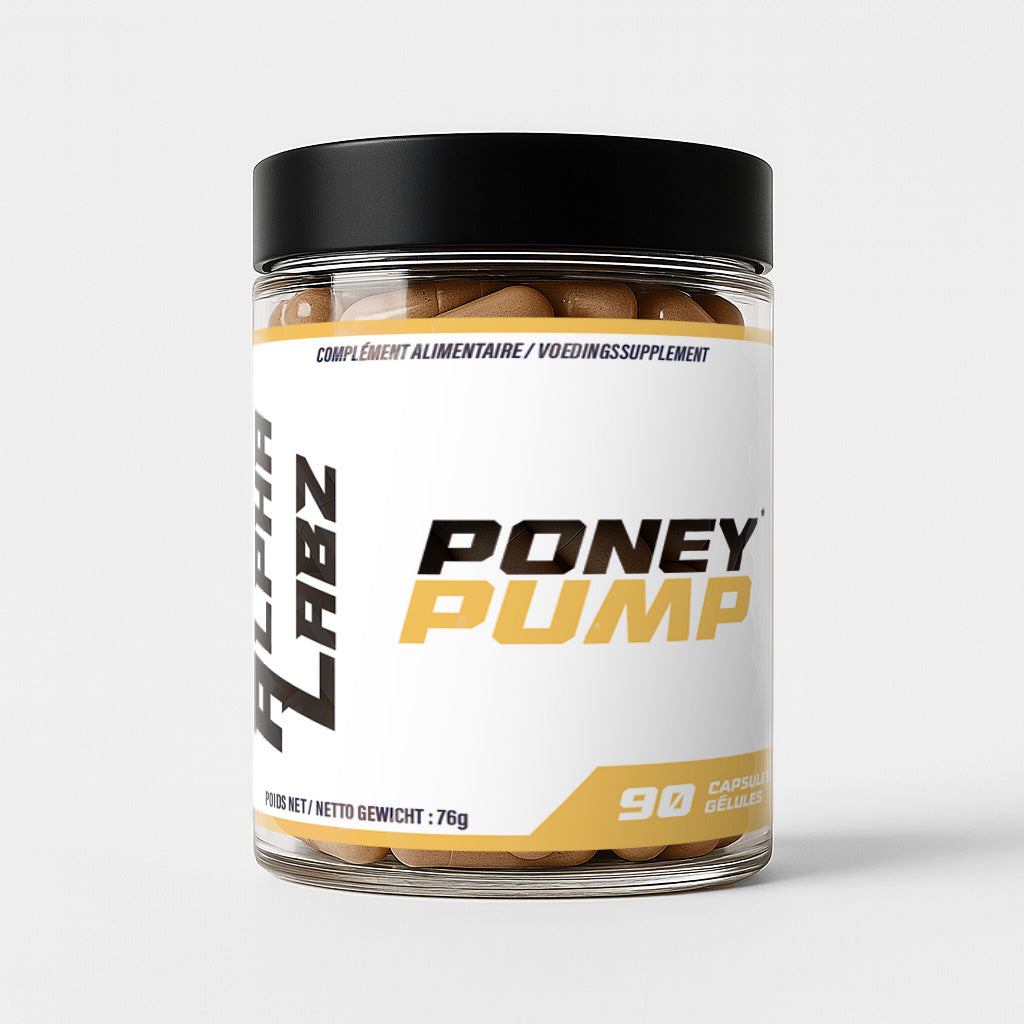 PONEY PUMP – ENDURANCE, PERFORMANCE & ÉNERGIE DURABLE